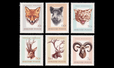 Unkari 2255-61 ** Metsästysmuistoja (1966)
