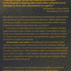 Erika Sauer: Johtajuuden uusi taide - pikkukuva 3