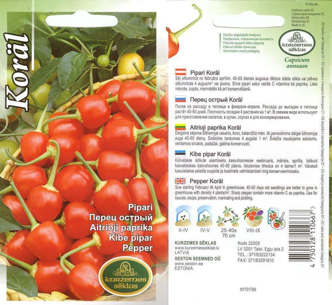 Paprika 'Koräl' siemenet #