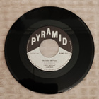 Leevi And The Leavings Teuvo. Maanteiden Kuningas 7"Single - pikkukuva 2