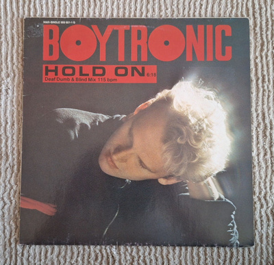 Boytronic - Hold On