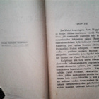 Webster Jean: Vehnäprinsessa, v. 1920 - pikkukuva 4