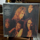 DAN REED NETWORK - SLAM M-/M- LP NIMMAREILLA - pikkukuva 4