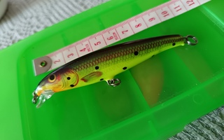Rapala vaappu