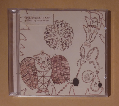 Devendra Banhart: Rejoicing in the Hands