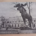 Viipuri, hirvipatsas Torkkelinpuistossa 22.10.42, ei p. - pikkukuva 1