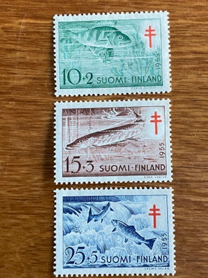 TUB 1955 SARJA**