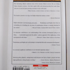 Murray Weidenbaum : The bamboo network : how expatriate c... - pikkukuva 2
