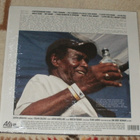 T-MODEL FORD ~ The Ladies Man ~ LP - pikkukuva 2