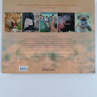 Gabriela Staebler : The Soul of the Savanna : How Wild An... - pikkukuva 2