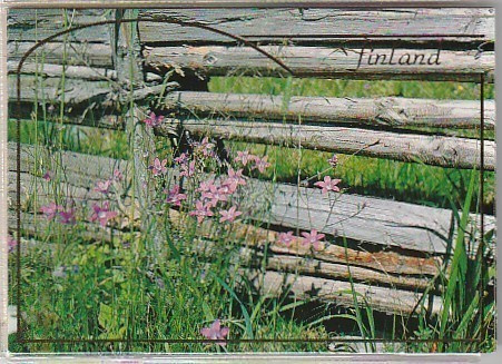 POSTIKORTTI  Maisema + aita, Finland-tunnus