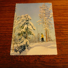 artko ph hiihtäjä kulkenut - pikkukuva 1