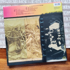 22 PISTEPIRKKO - A KIND HEARTS HAVE A RUN RUN LP - pikkukuva 2