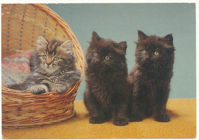 KISSA-kortti