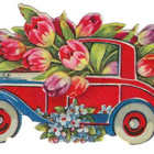 Tulppaaniauto - pikkukuva 1