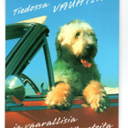 Mikkeli: Kenkävero  (erikoisleima 15.8.1991) - pikkukuva 2