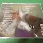 V/A - DOWNTOWN METAL INT. VOL.5 UUSI CD - pikkukuva 2
