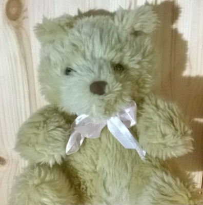 Suloinen nalle