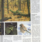 Suomen Luonto n:o 10 1992 Varpunen. Varsinais-Suomi. Lumikko - pikkukuva 3