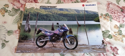 Suzuki DR650