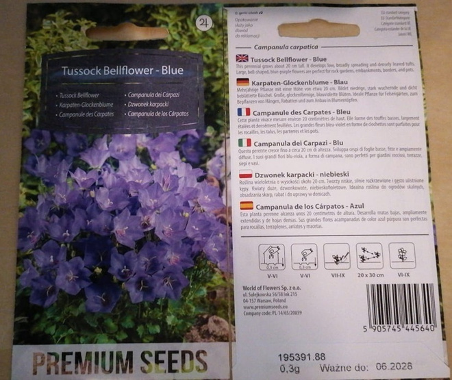 Karpaattienkello 'Tussock Bellflower - Blue' - siemenet #