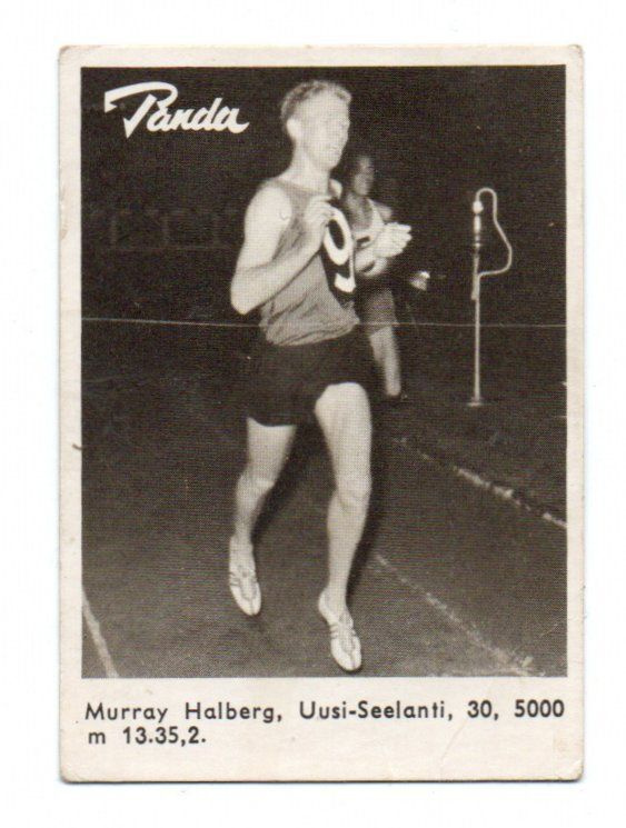 Purkkakuva Panda MURRAY HALBERG. Uusi-Seelanti.