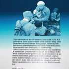 Nainen sodassa kotona ja kotirintamalla 1939-1945 - pikkukuva 3