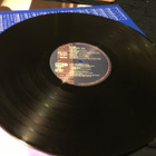 The Primitives Lp EU press innerbag 1988 - pikkukuva 4