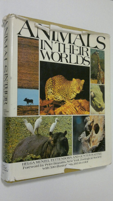 Helga Menzel-Tettenborn : Animals in their worlds