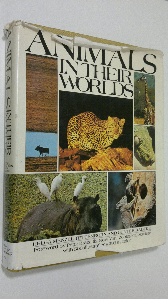 Helga Menzel-Tettenborn : Animals in their worlds