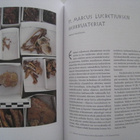 Paavo Castrén (toim.) Domus Pompeiana - Talo Pompejissa - pikkukuva 4