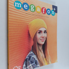 Anna Blom ym. : Megafon+ - pikkukuva 1