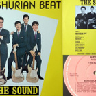 The Sounds – Mandshurian Beat Lp italia 1989 - pikkukuva 3