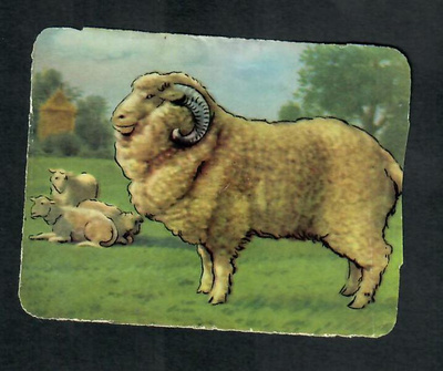 ALE - M.P. 890 - Eläinnelkku - Merinolammas - 1950-luvulta!