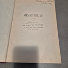 Lille: Minnesblad (kuv. 1900) - pikkukuva 2