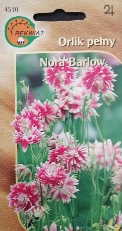 Lehtoakileija 'Nora Barlow' - siemenet #