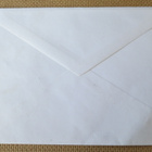 FDC UN 1991: ympäristö - pikkukuva 2
