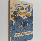 Edgar Rice Burroughs : Tarzan ja Opari kalliskivid - pikkukuva 1