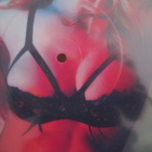 Madonna - Girl Gone Wild (KUVALEVY / 12" / UUSI / MUOVEISSA) - pikkukuva 3