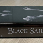 Black Sails: Kausi 1 (3DVD) Emmy-palkittu sarja - pikkukuva 3