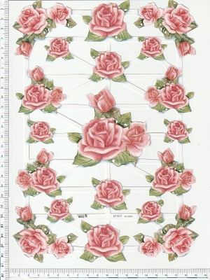~ TBZ 571-011, kauniit ruusut-arkki ~