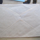 Firma kuori kai ilmapostitse Hesasta Berliiniin 1932 - pikkukuva 3