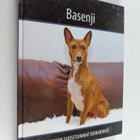 Basenji - pikkukuva 1