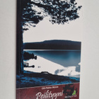 Olli-Pekka Moisio : Peilityyni : runoko[ko]elma (signeera... - pikkukuva 1