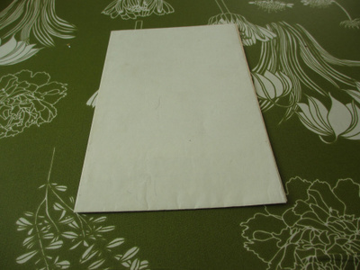 4xa4 paperikopio , rauhalan navettarakennus 1956 1:100