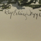 Rolf Erling Nygren - pikkukuva 2