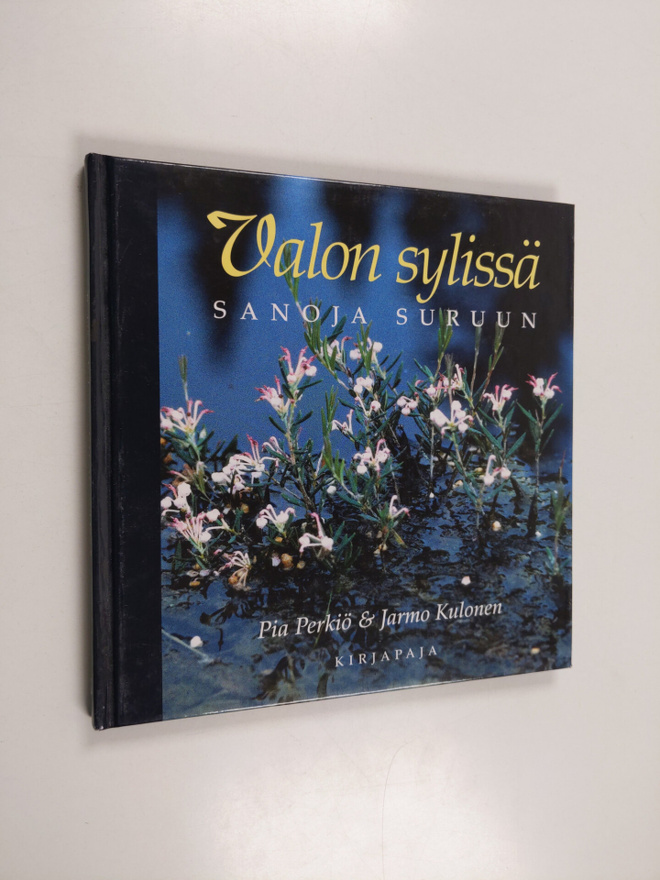 Pia Perkiö ym. : Valon sylissä : sanoja suruun