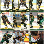 74 x ILVES Eri Vuosilta - pikkukuva 4