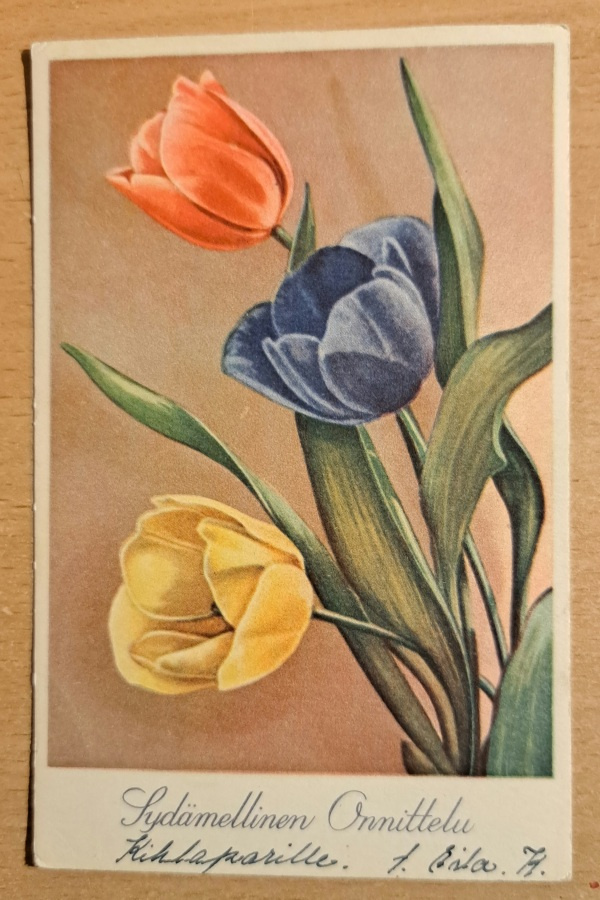 kukkakortti, tulppaaneita,  kulkenut 1943