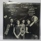 JUKKA TOLONEN - DUMS HAVE MORE FUN EX+/EX+ LP - pikkukuva 2